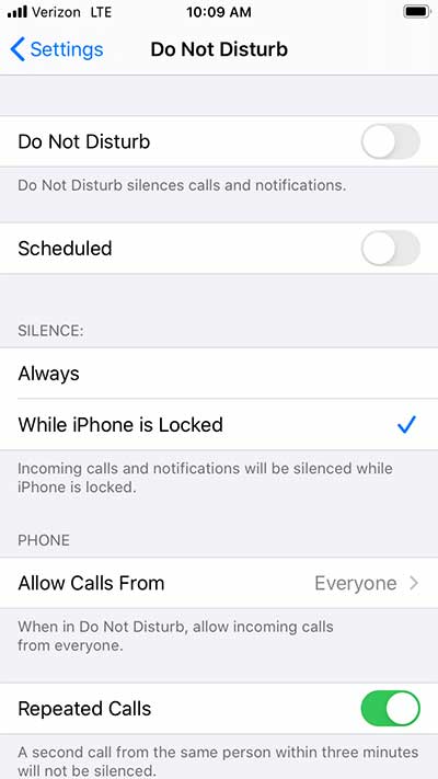 iPhone Do Not Disturb Option
